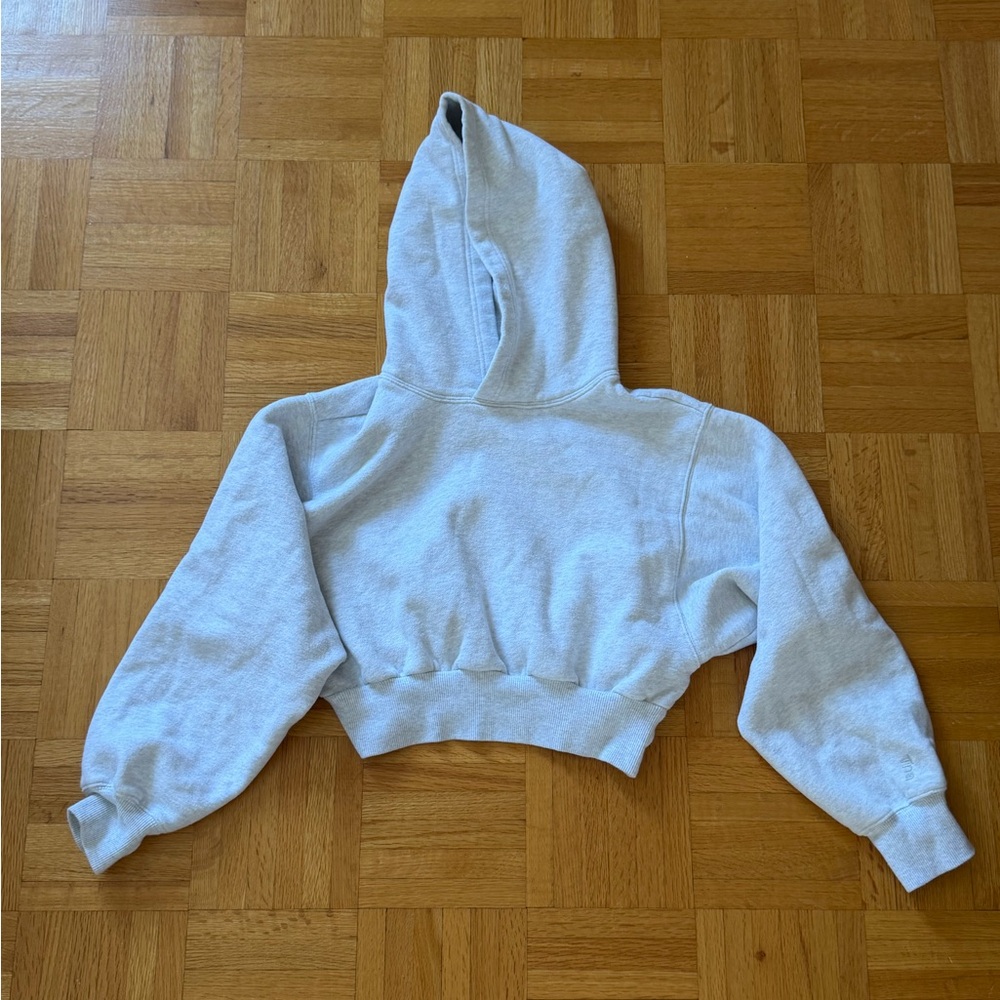 Aritzia cropped Hoodie - Picture 2 of 2